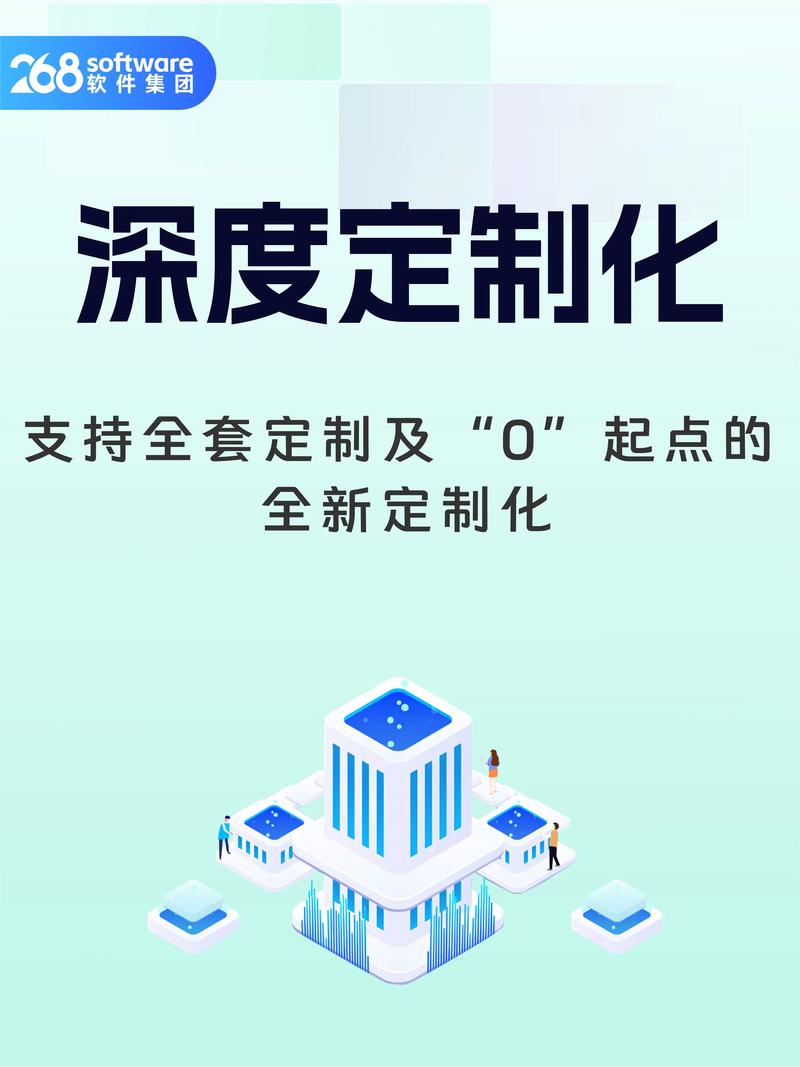软件开发定制:企业信息化发展的新引擎